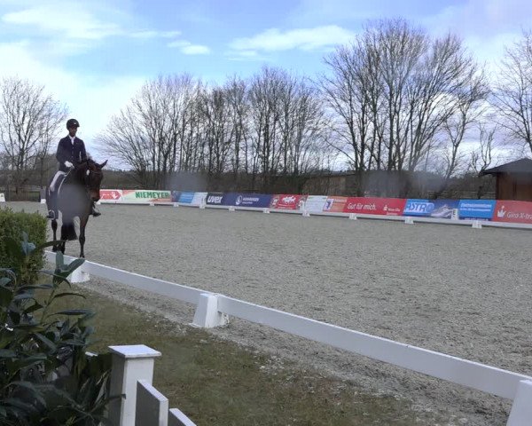 Reitturnier Elmlohe 2022