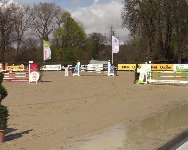 Reitturnier Münster-Handorf 2022