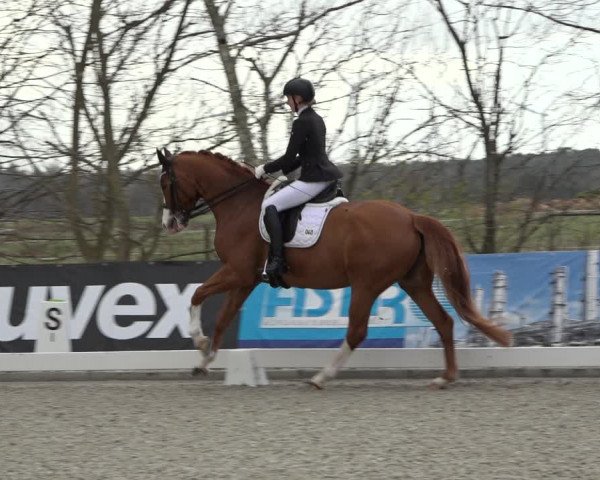 Reitturnier Elmlohe 2022