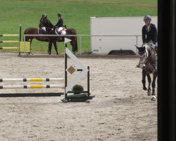 Reitturnier Herrenberg 2022
