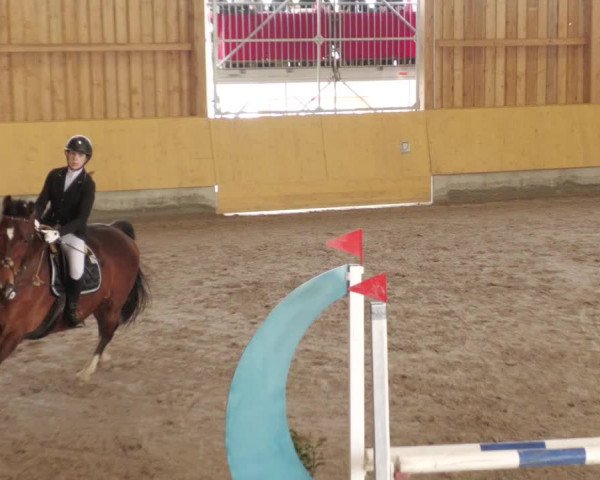 Reitturnier Herrenberg 2022