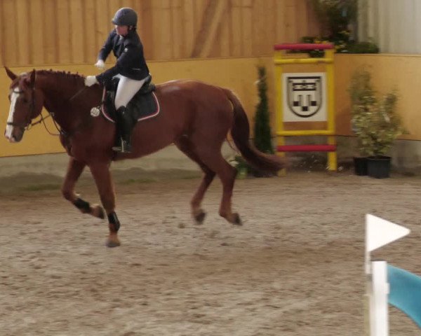 Reitturnier Herrenberg 2022
