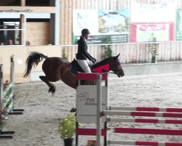 Reitturnier Herrenberg 2022