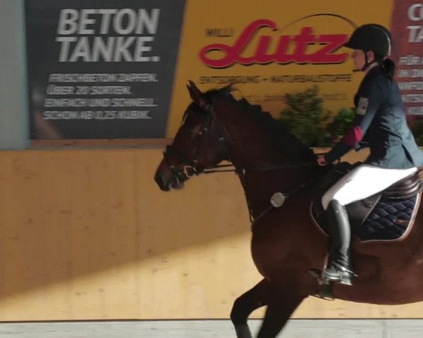 Reitturnier Herrenberg 2022