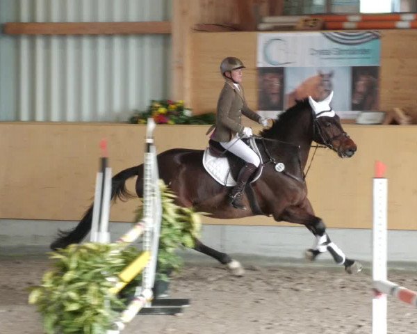 Reitturnier Herrenberg 2022