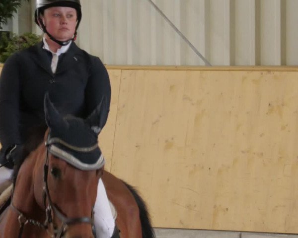 Reitturnier Herrenberg 2022