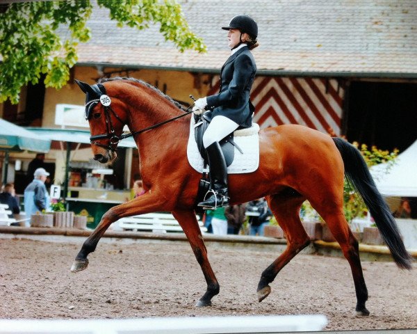 dressage horse Lionell Richie (Hessian Warmblood, 2004, from Lone Star)
