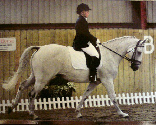 broodmare Landria SC (Rhinelander, 2001, from Lucky's Boy)