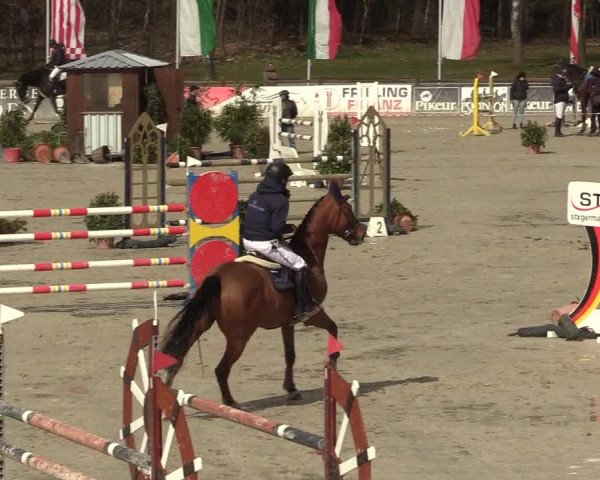 Reitturnier Westergellersen 2022