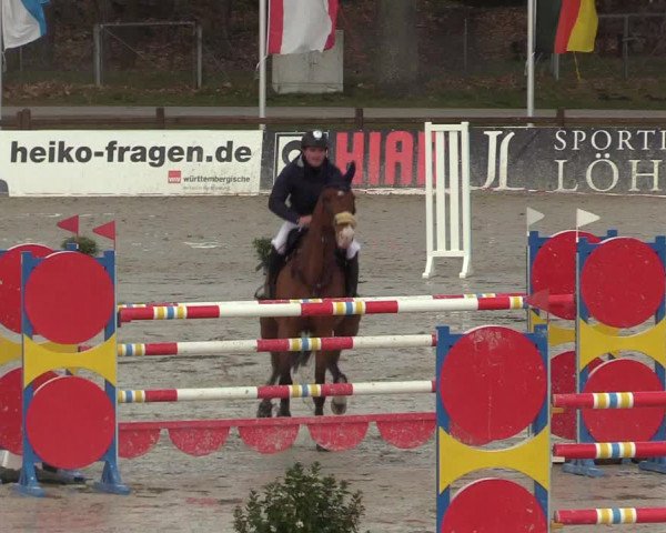 Reitturnier Westergellersen 2022