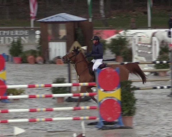 Reitturnier Westergellersen 2022