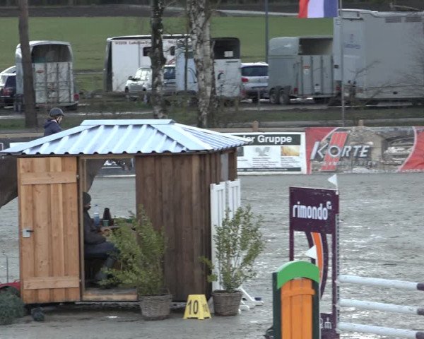Reitturnier Westergellersen 2022