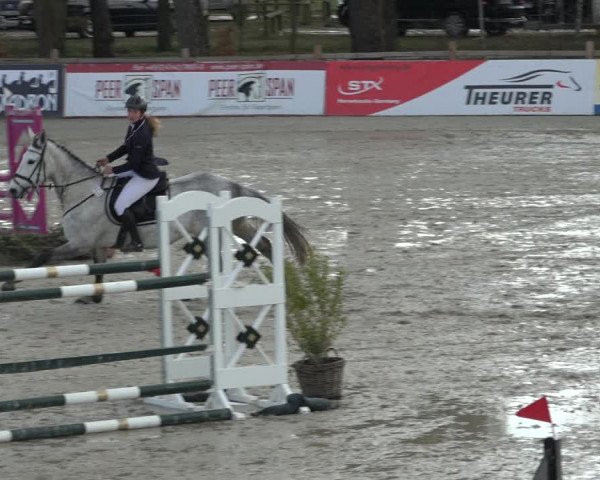 Reitturnier Westergellersen 2022