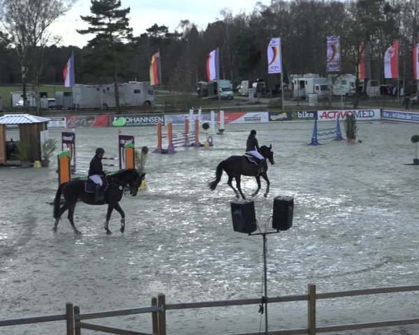 Reitturnier Westergellersen 2022