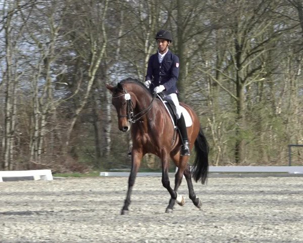 Reitturnier Elmlohe 2022