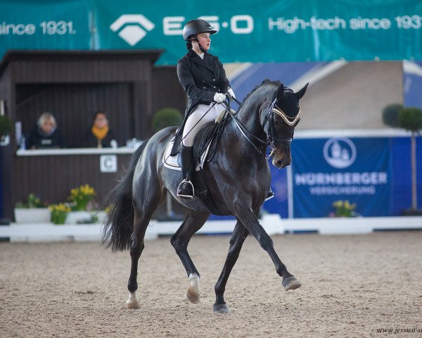 dressage horse Fürstenballerina Live (Swiss Warmblood, 2014, from Fürstenball)