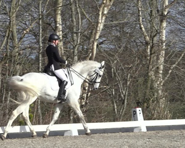 Reitturnier Elmlohe 2022