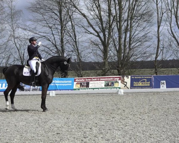 Reitturnier Elmlohe 2022