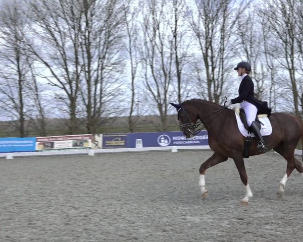 Reitturnier Elmlohe 2022