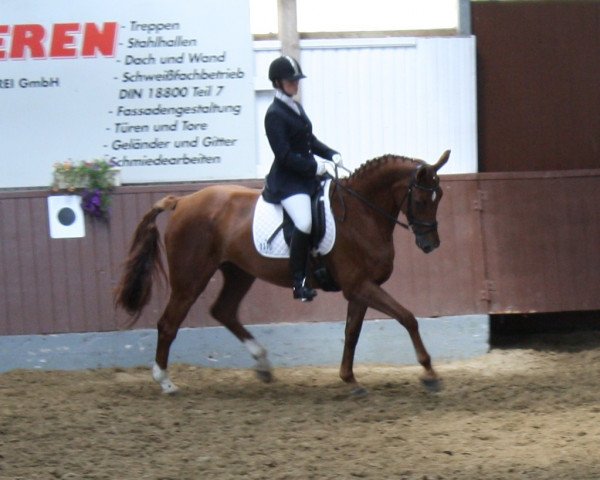 Dressurpferd Sabrina B (Westfale, 2005, von Sibirian Express)