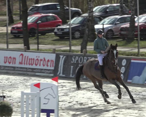 Reitturnier Westergellersen 2022