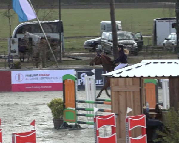 Reitturnier Westergellersen 2022