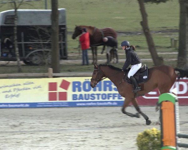 Reitturnier Westergellersen 2022
