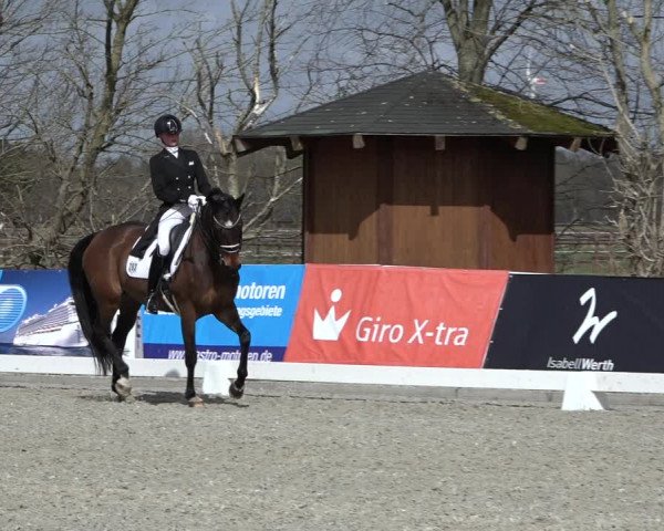 Reitturnier Elmlohe 2022