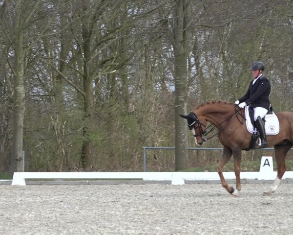 Reitturnier Elmlohe 2022