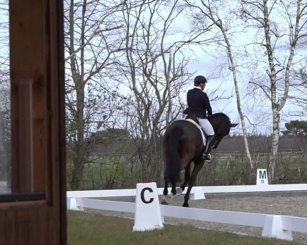 Reitturnier Elmlohe 2022