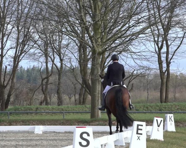 Reitturnier Elmlohe 2022