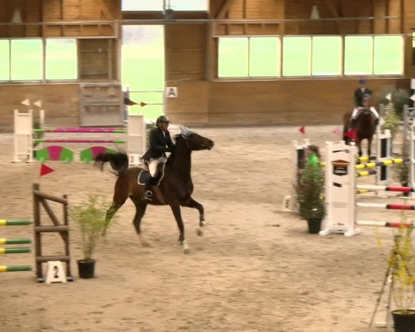 Reitturnier Rüti 2022