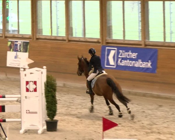Reitturnier Rüti 2022
