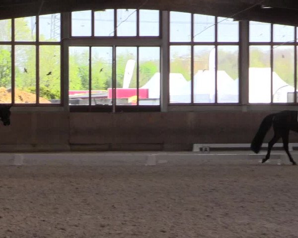 Reitturnier Leverkusen-Rheindorf 2022