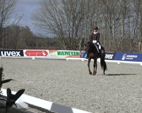 Reitturnier Elmlohe 2022
