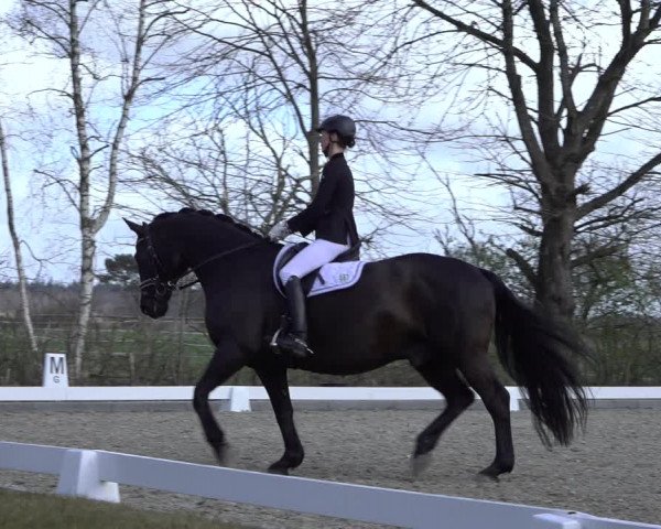 Reitturnier Elmlohe 2022