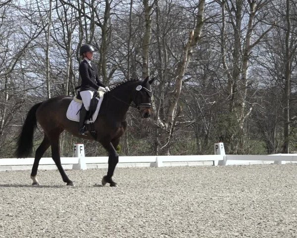 Reitturnier Elmlohe 2022