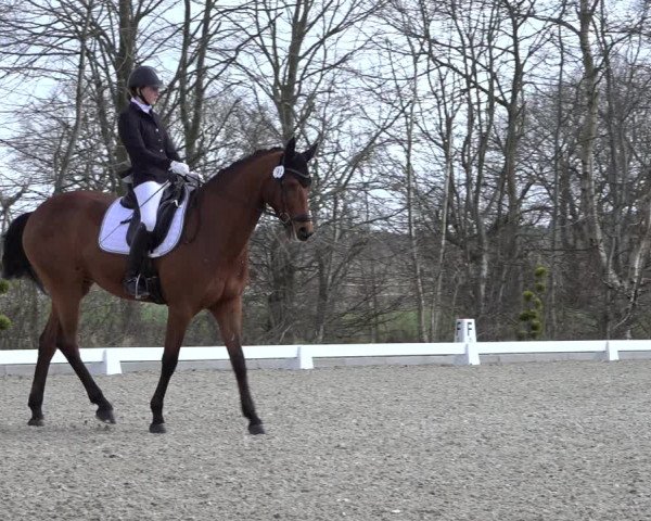Reitturnier Elmlohe 2022