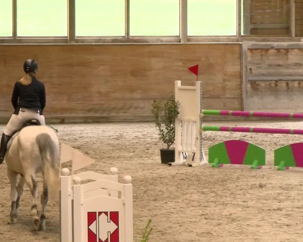 Reitturnier Rüti 2022