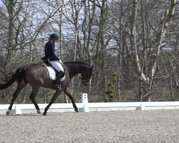 Reitturnier Elmlohe 2022