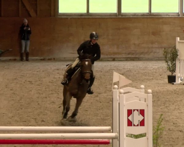 Reitturnier Rüti 2022