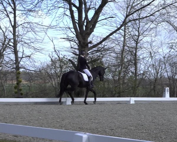 Reitturnier Elmlohe 2022