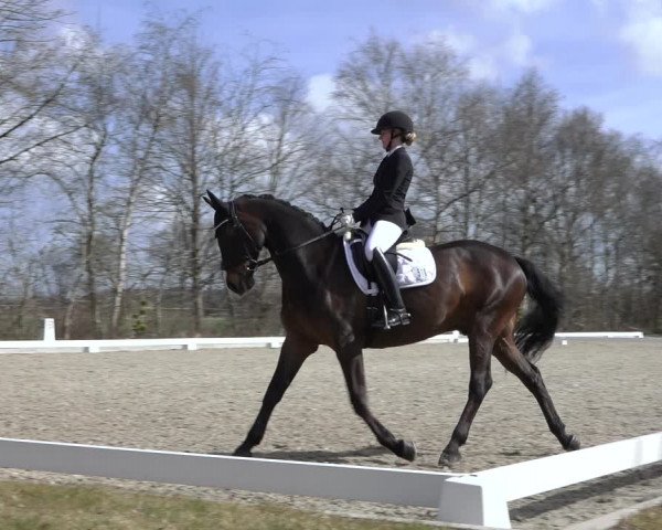 Reitturnier Elmlohe 2022