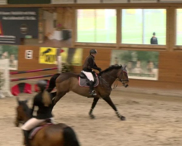 Reitturnier Rüti 2022