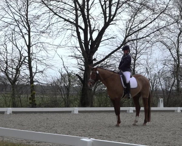 Reitturnier Elmlohe 2022