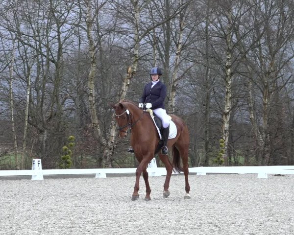 Reitturnier Elmlohe 2022