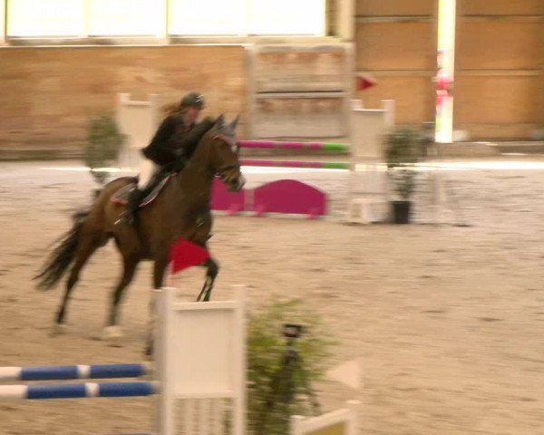 Reitturnier Rüti 2022