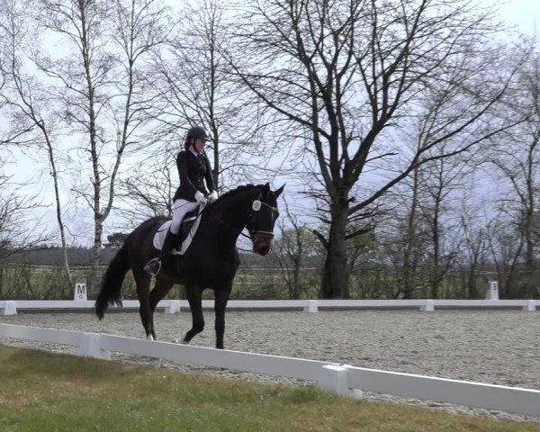 Reitturnier Elmlohe 2022