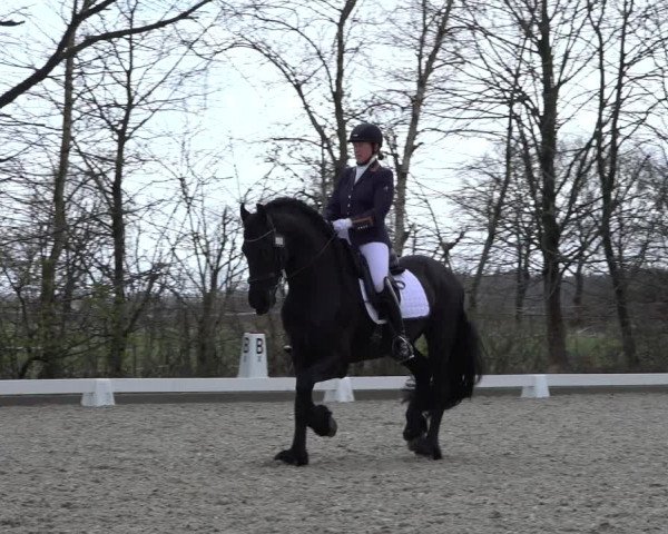 Reitturnier Elmlohe 2022
