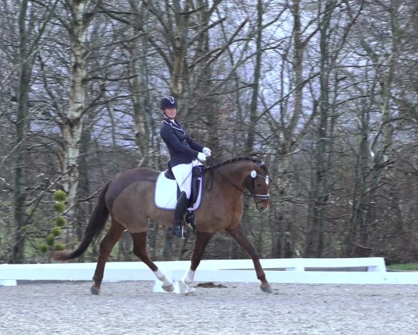Reitturnier Elmlohe 2022